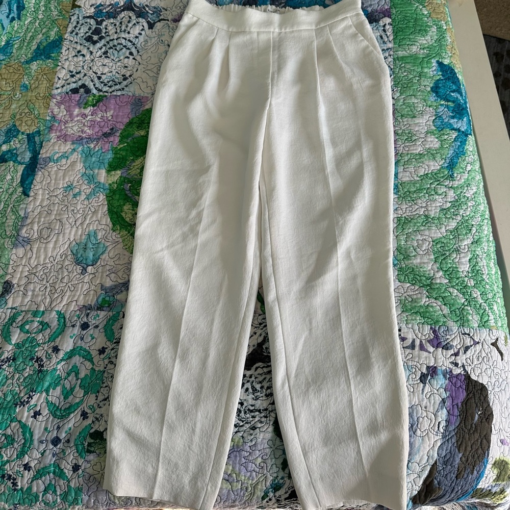 aritzia babaton trousers